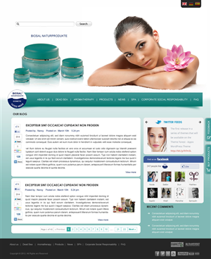 Web Design by pb for SOLOMBRINO ROBERTO MIGUEL SLNE CIF B84689132 | Design: #718105