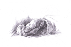 Illustration Design by Inés