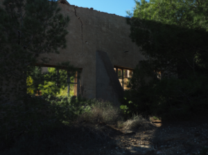 Photography by Inés