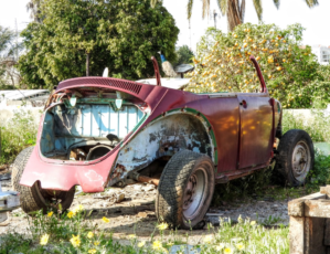 Photography by Moshik