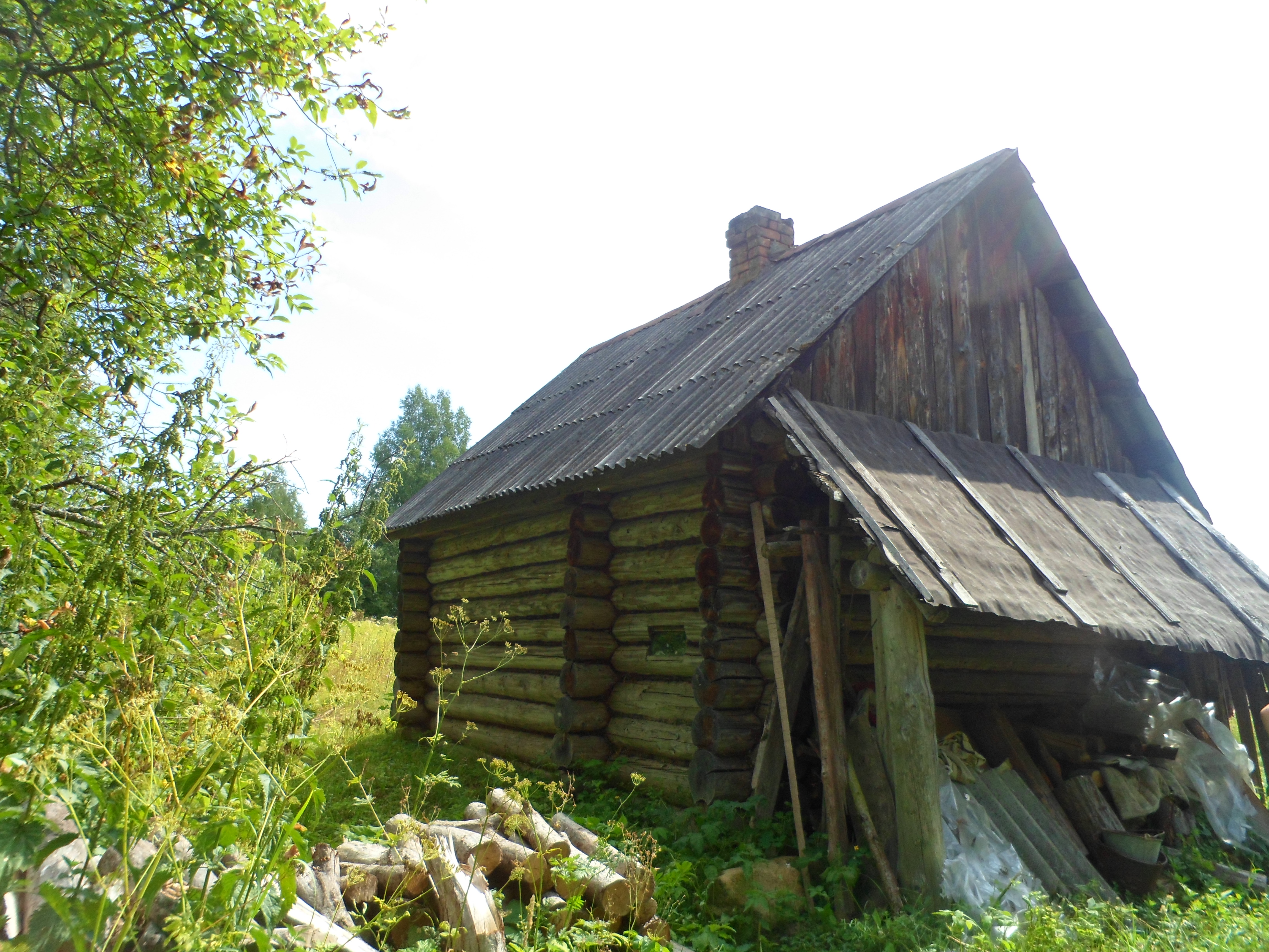 Fotografía por reyyulia para DesignCrowd (Community Contests) | Diseño #17560530