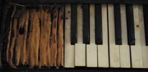 Photography by quasidonut