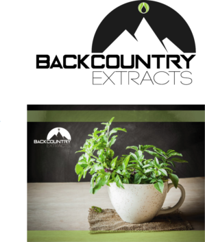 Logo Design by Master Print