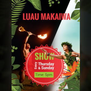 Poster Design by idesigner.2013
