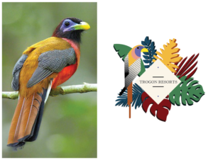 Logo Design by Andy Zahn