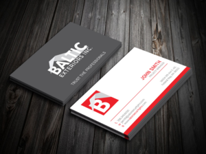 Business Card Design by Tripti Ranjan Gain for Baltic Exteriors | Design: #17577530