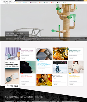 Web Design by bllablla