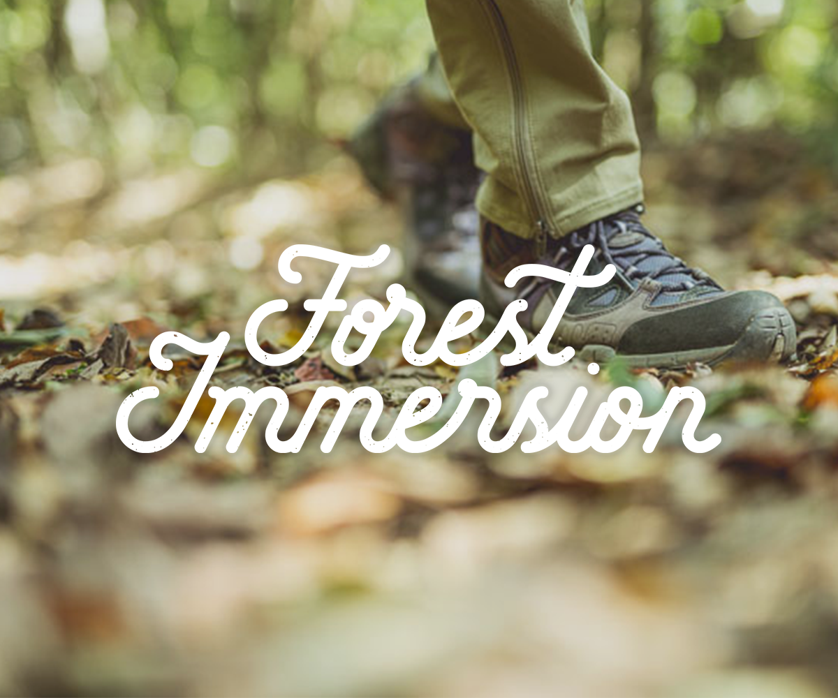 Diseño de Logo por Michael List Design para Forest Immersion | Diseño #17573798