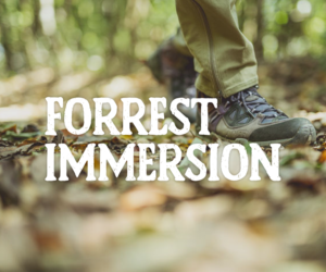Diseño de Logo por Michael List Design para Forest Immersion | Diseño: #17596332
