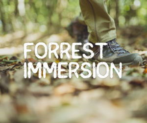 Diseño de Logo por Michael List Design para Forest Immersion | Diseño: #17596333
