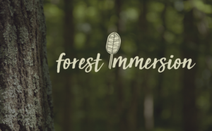 Logo Design by delman74