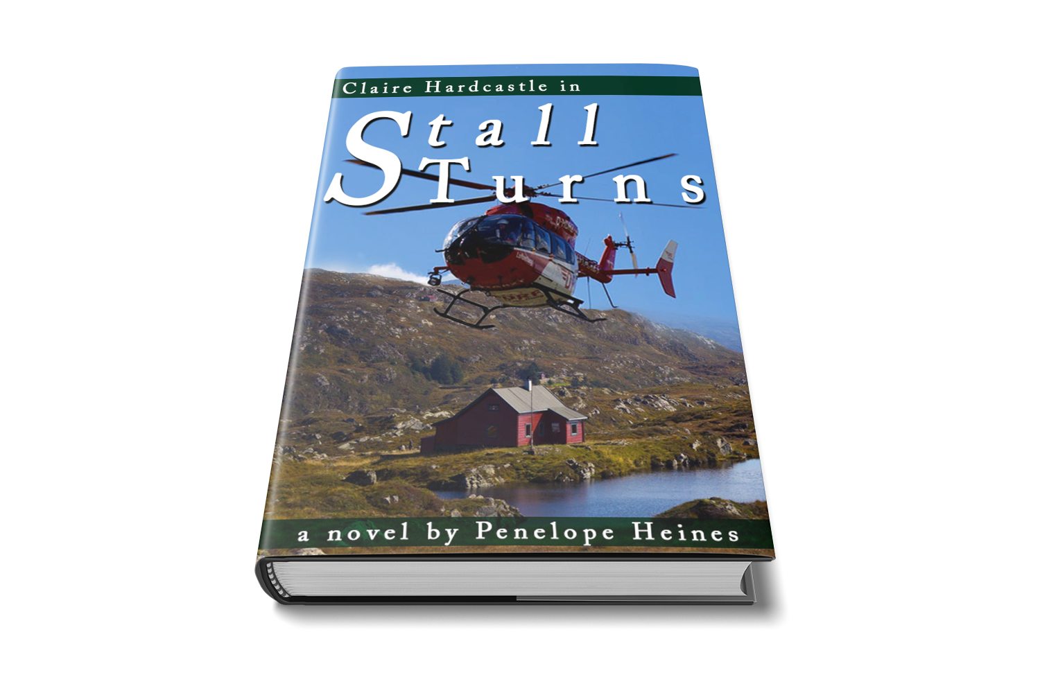 Diseño de portada de libro por Mama Guska para este proyecto | Diseño #17647263