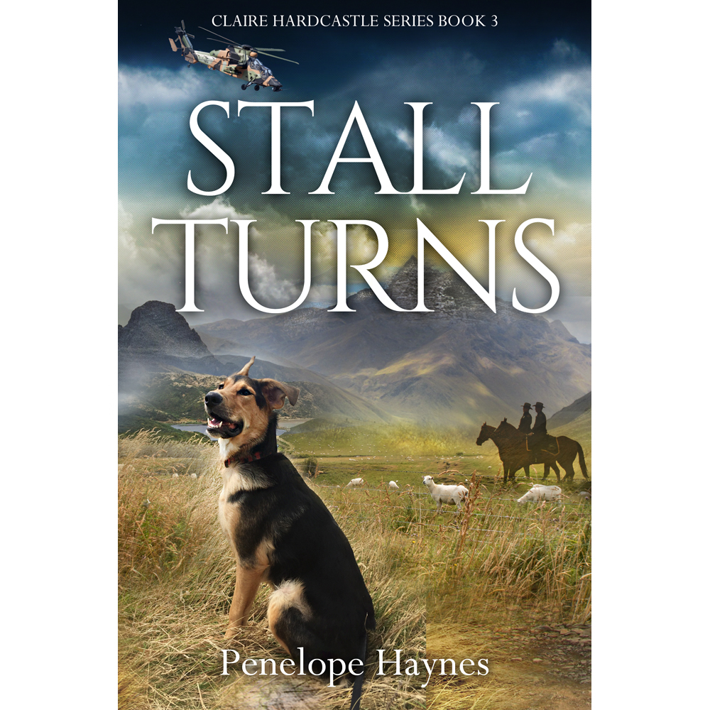 Book Cover Design by Tatlin for this project | Design #17643485