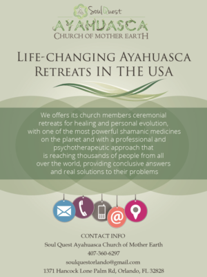 Advertisement Design by Rickyy for Soul Quest  | Design: #17699670