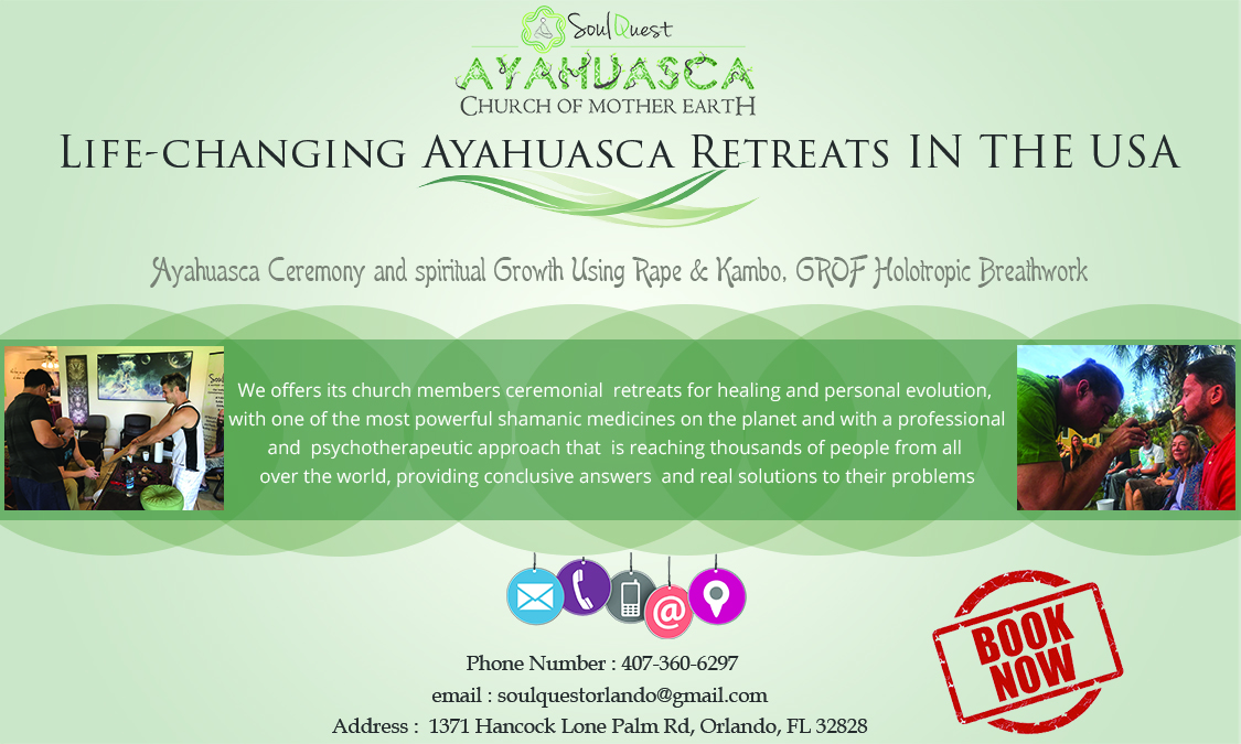 Advertisement Design by Rickyy for Soul Quest  | Design #17699957