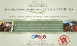 Advertisement Design by Rickyy for Soul Quest  | Design: #17699957