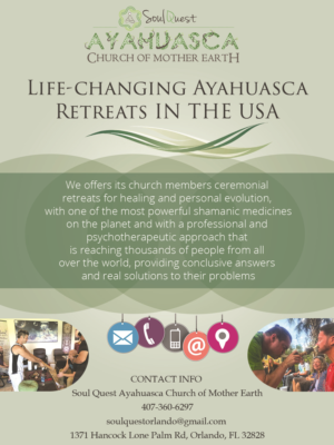 Advertisement Design by Rickyy for Soul Quest  | Design: #17699958