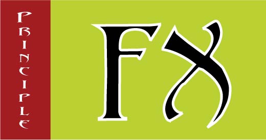 Logo Design by Mohammad for this project | Design #644143