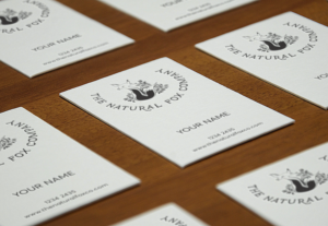 Logo Design by DicéArt for the natural fox company | Design: #17625896