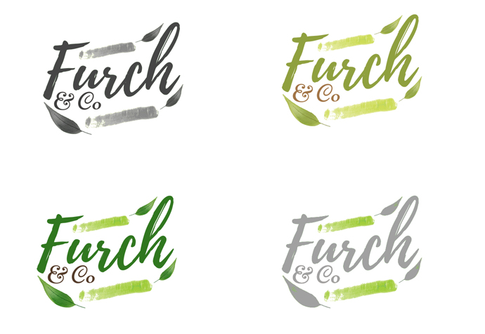 Logo Design by Expert Designer for DNS Painting | Design #17603872