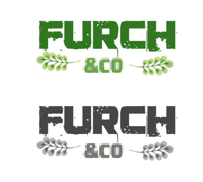 Logo Design by Expert Designer for DNS Painting | Design #17603873