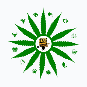 Kunst-Design von SURYA für Papa Baer Productions | Design: #17599935