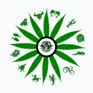 Kunst-Design von SURYA für Papa Baer Productions | Design: #17599936