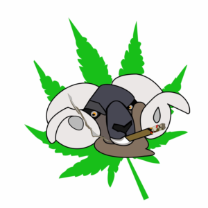 Kunst-Design von JL Designing für Papa Baer Productions | Design: #17593092