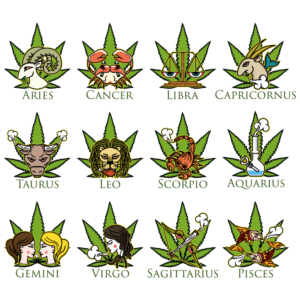 Kunst-Design von Dbgn für Papa Baer Productions | Design: #17615283