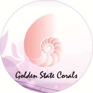 Logo Design by Washington Mwangi