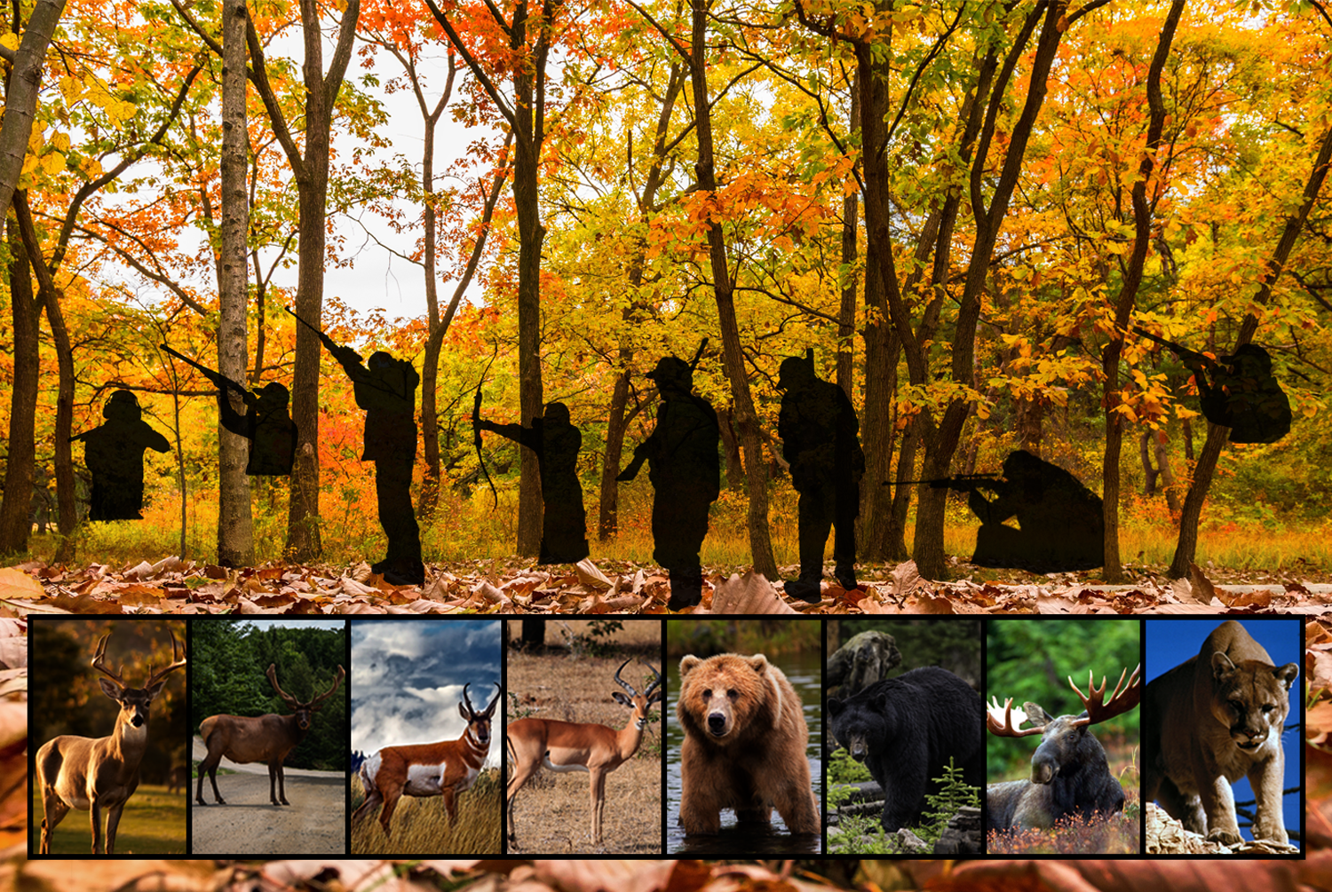 Design Photoshop par VW Designs pour ce projet | Design #17617803