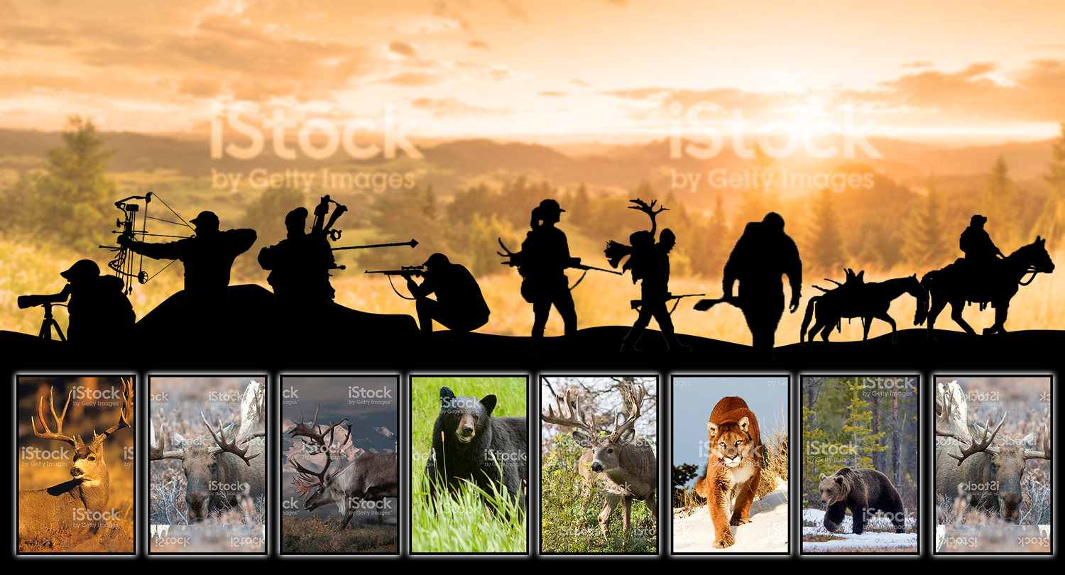 Design Photoshop par Tejas_G pour ce projet | Design #17611088