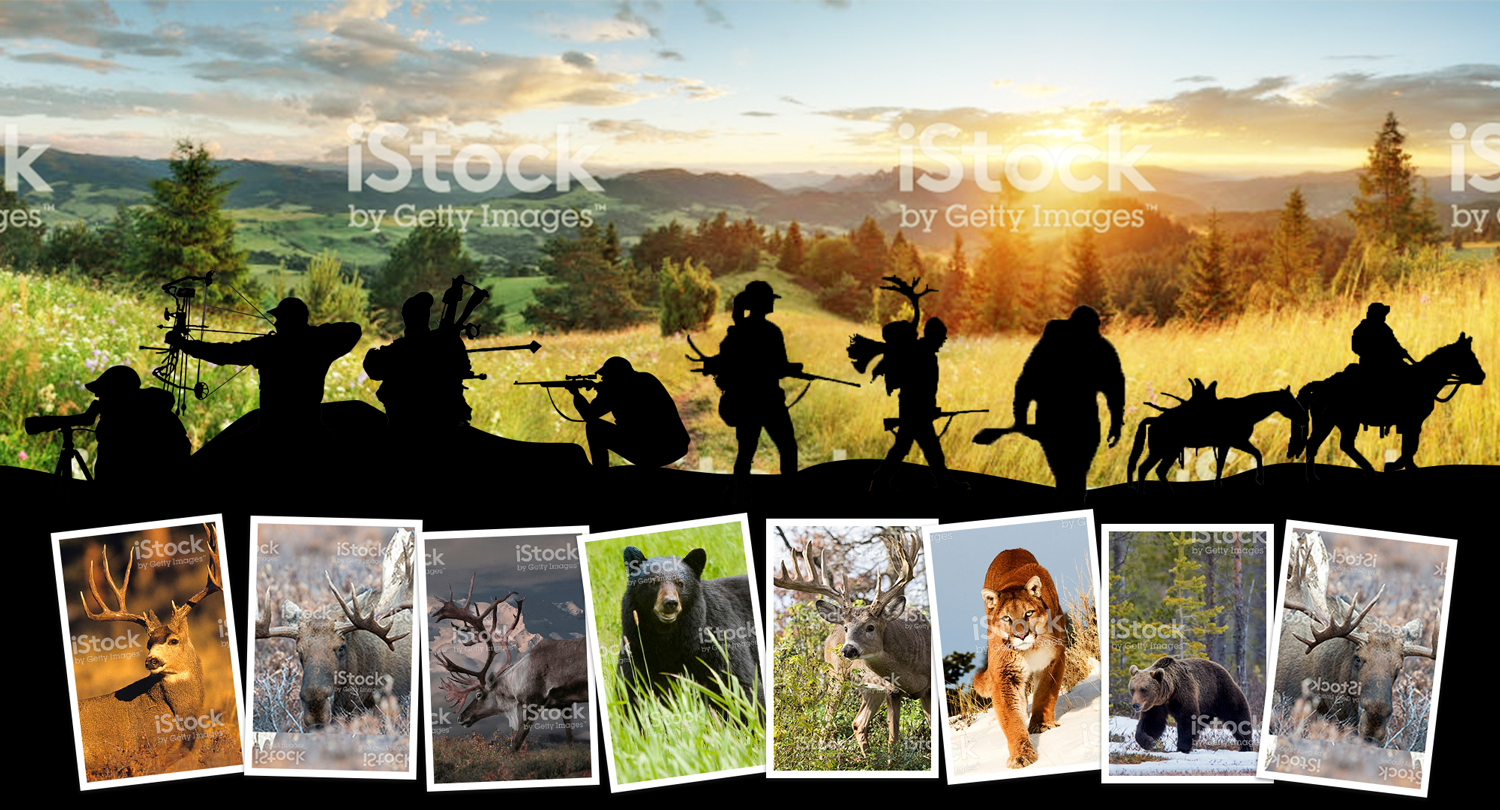 Photoshop Design by Tejas_G for this project | Design #17635587