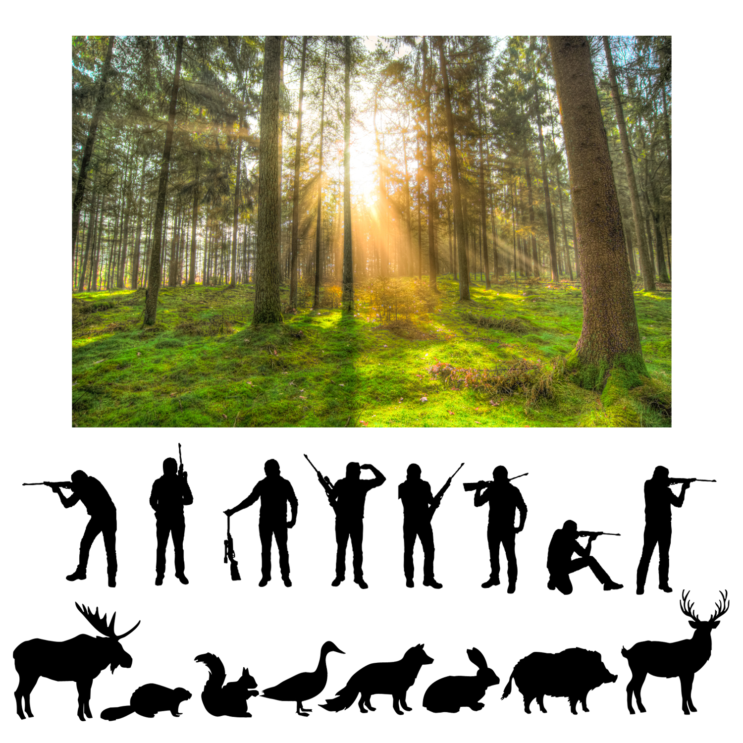 Photoshop Design by Abiyoso28 for this project | Design #17606070