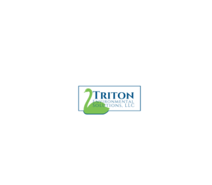 Logo Design by Andromeda 