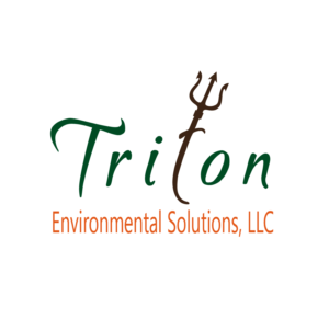 Logo Design by Shaza Albero
