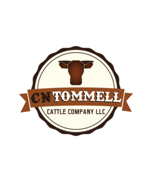 Logo Design by Wild Geek for  C N TOMMELL CATTLE COMPANY LLC | Design: #17604681