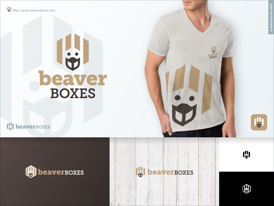 Logo Design by Raoul Camion for this project | Design #17611358