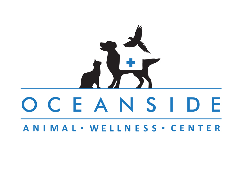 Logo Design by Image Solutions for this project | Design #640658