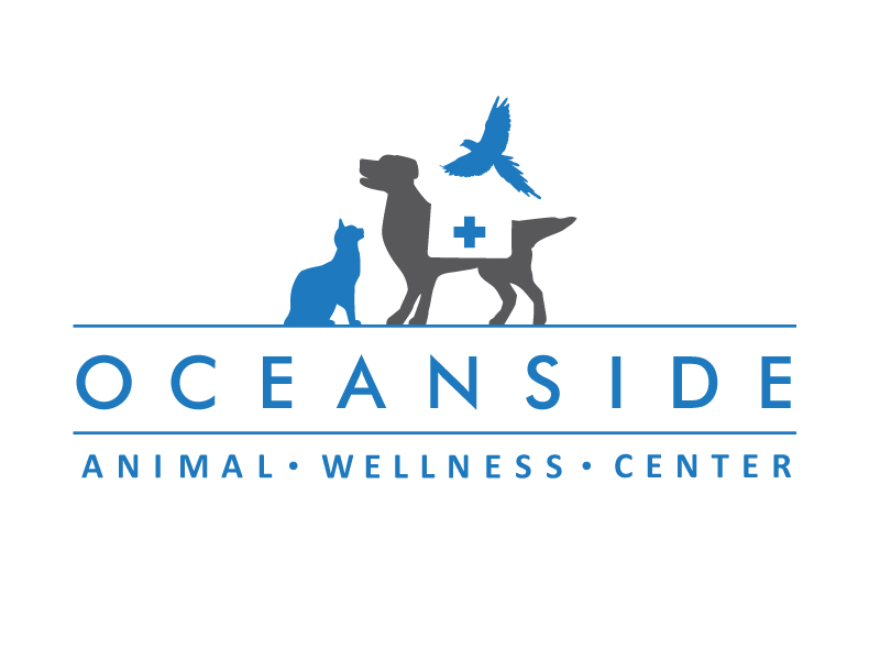 Logo Design by Image Solutions for this project | Design #640666