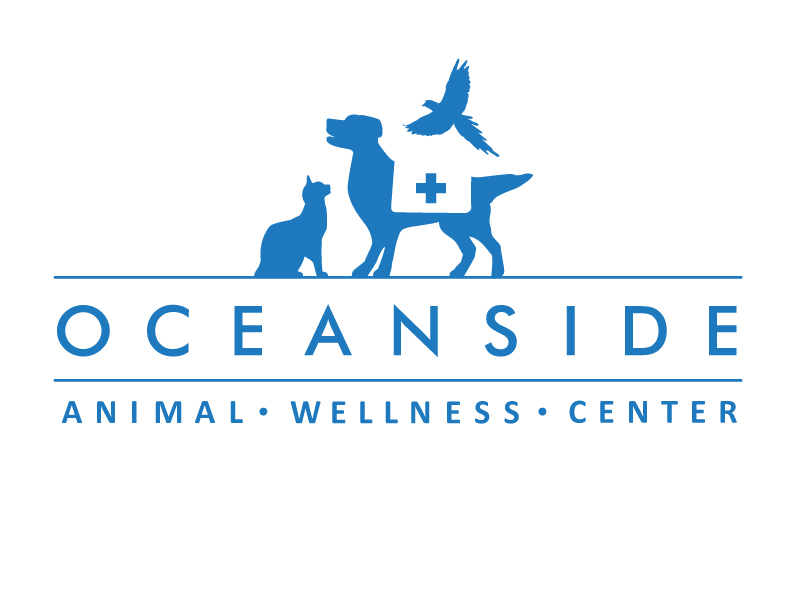 Logo Design by Image Solutions for this project | Design #640669