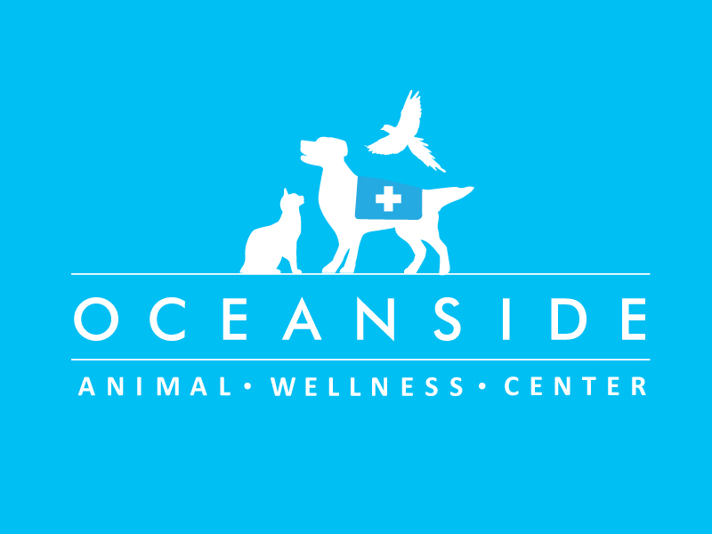 Logo Design by Image Solutions for this project | Design #640681