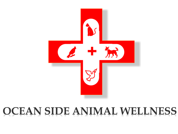 Logo Design by Aksoona for this project | Design #647276