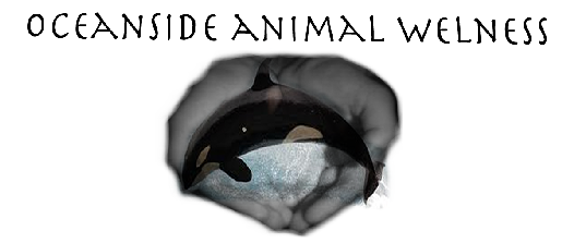 Logo Design by Jeremiah Washburn for this project | Design #636323