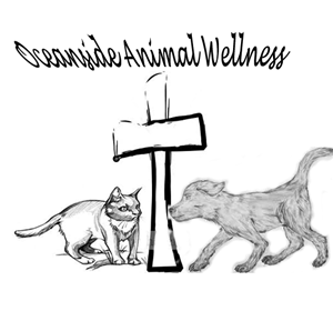 Logo Design by Jeremiah Washburn for this project | Design: #638186