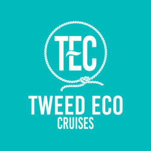 Logo Design by Sirlei Design