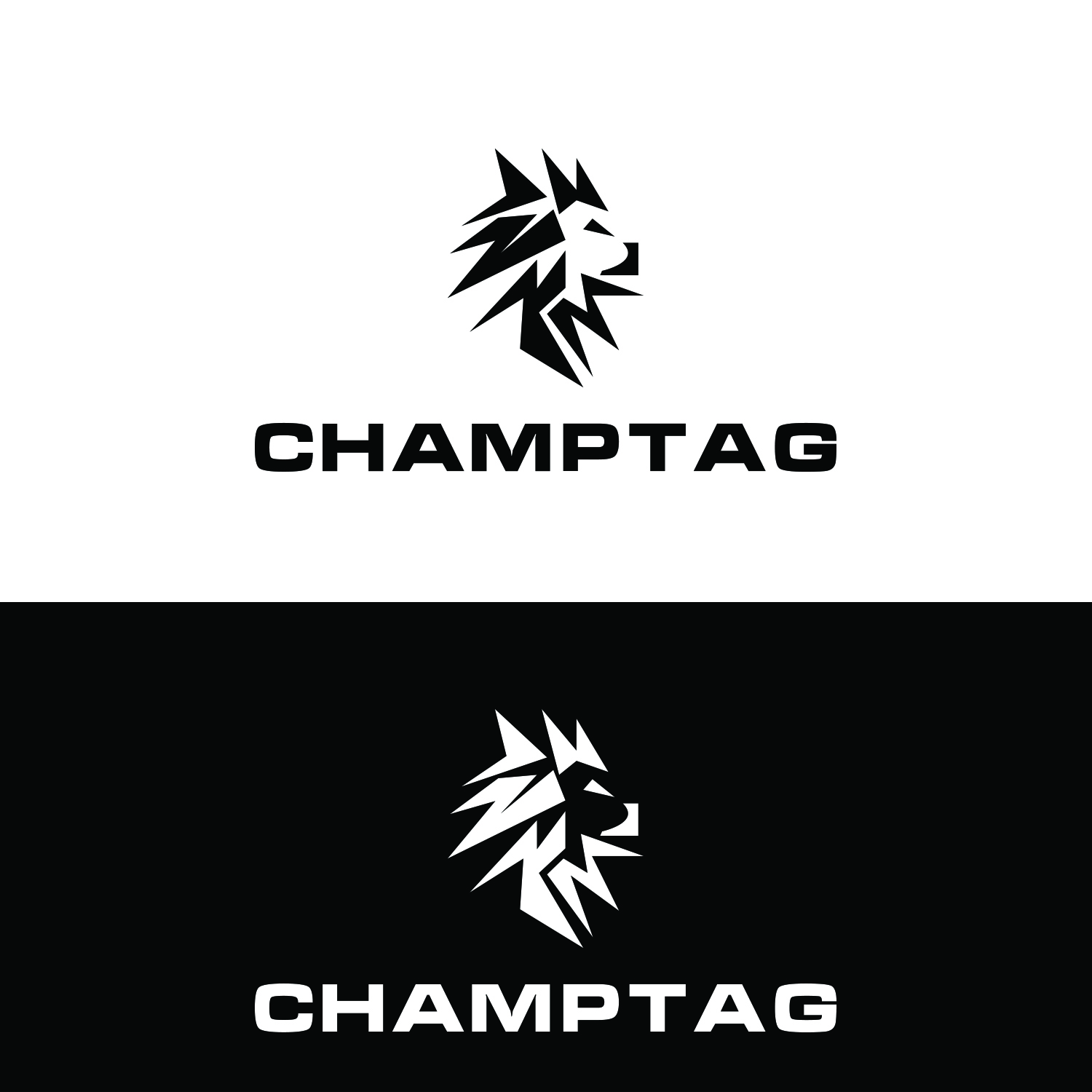 Design de Logo par dr ghulam mustafa sahab pour ChampTag | Design #17680527