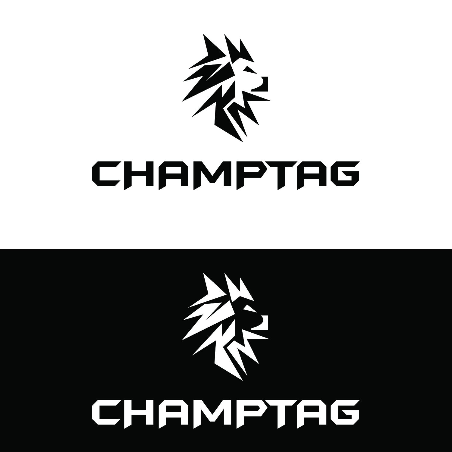 Design de Logo par dr ghulam mustafa sahab pour ChampTag | Design #17680528