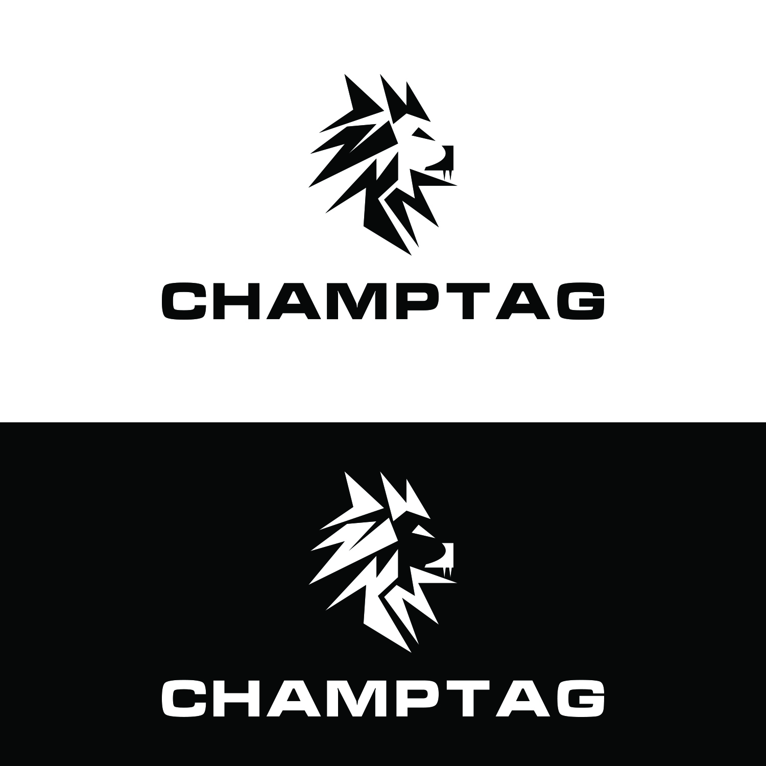 Logo Design by dr ghulam mustafa sahab for ChampTag | Design #17680570