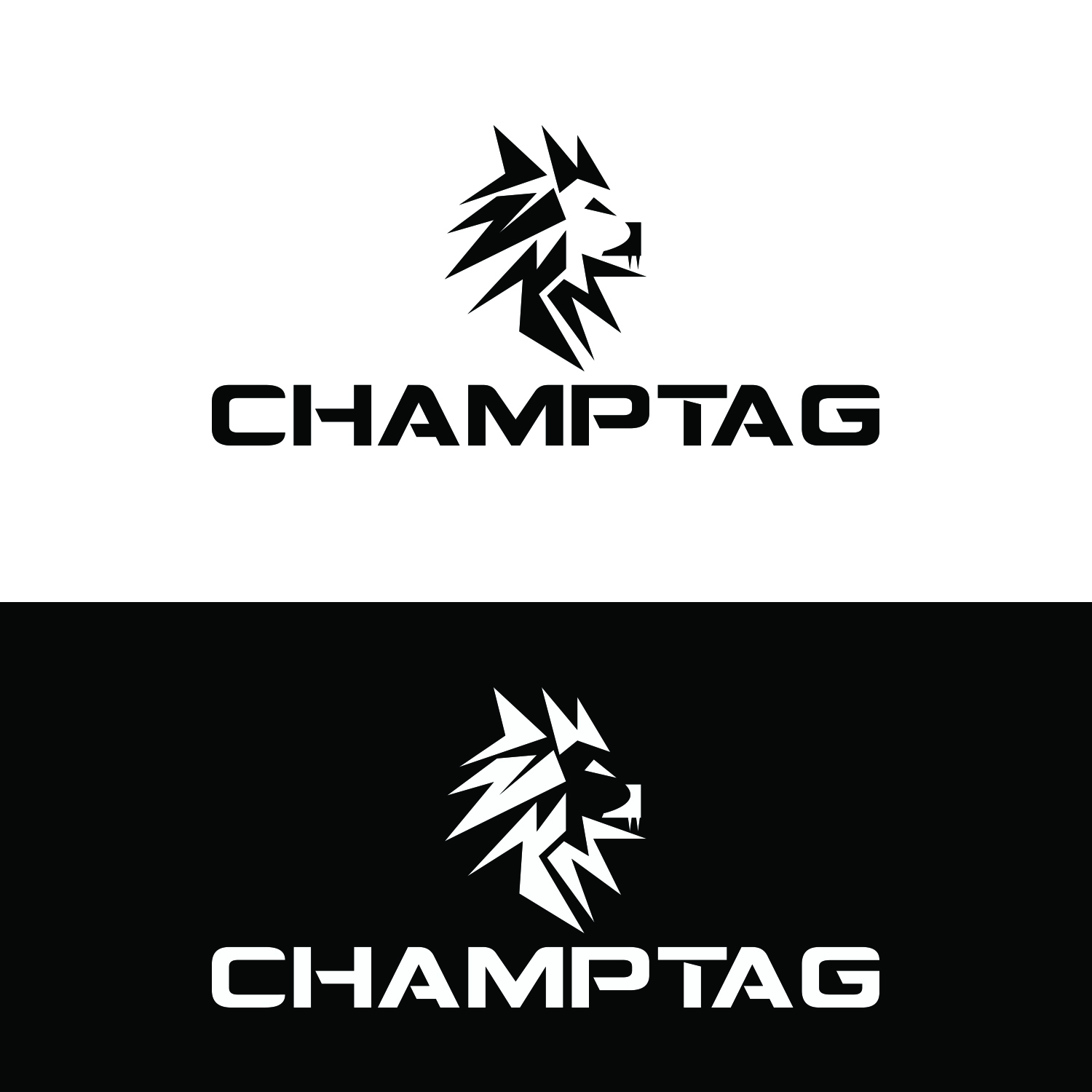 Diseño de Logo por dr ghulam mustafa sahab para ChampTag | Diseño #17683548